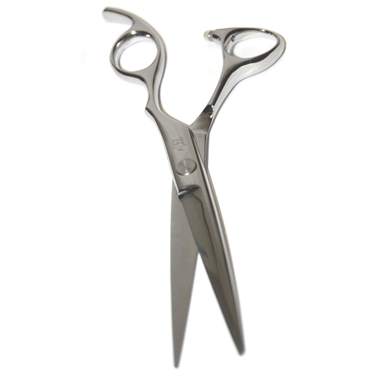 6in Scissors Set Model PM Includes Texturizing Shears